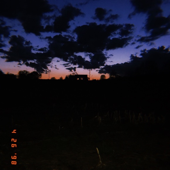 Meet your Posher, Maddy - Picture 1 of 1